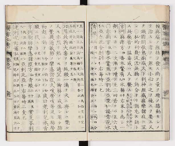 K0006s0178