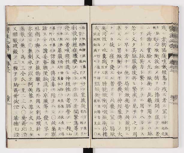 K0006s0183