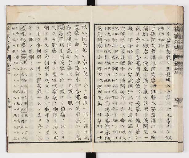 K0006s0184