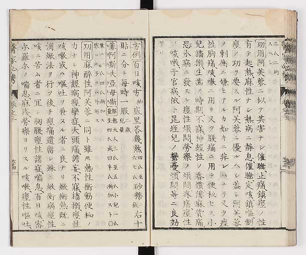 K0006s0185