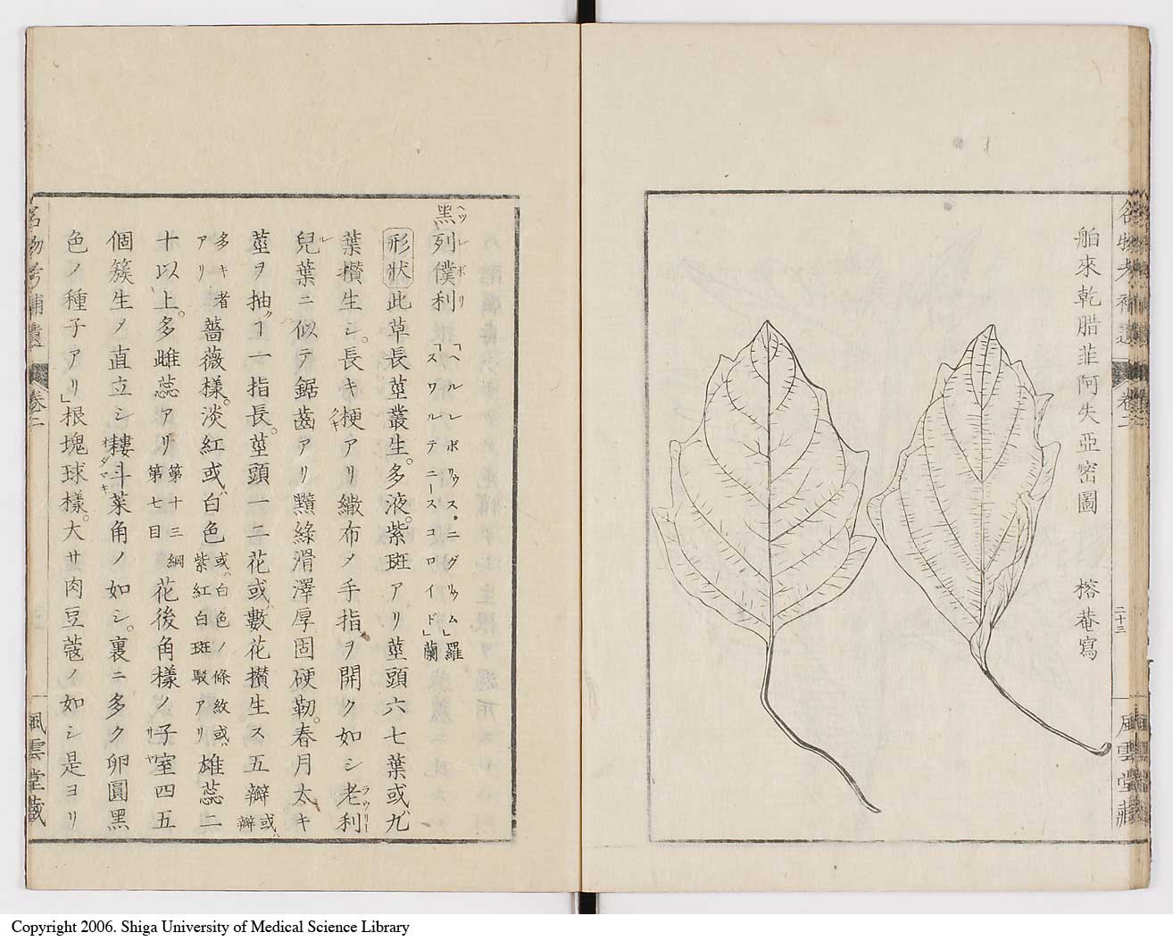K0008l0061