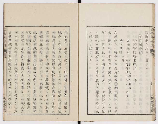 K0008s0021