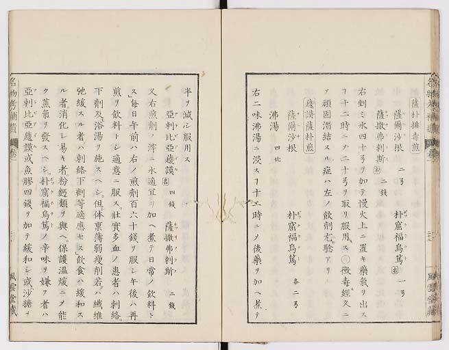 K0008s0029