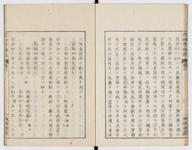 K0008s0091