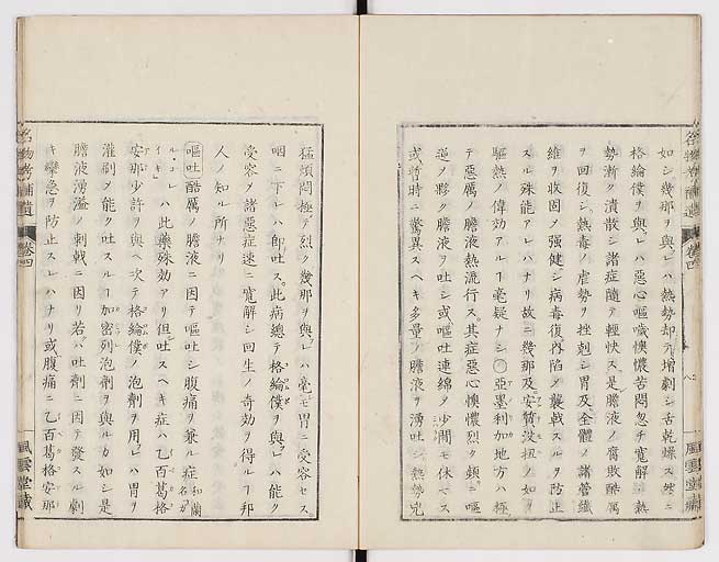 K0008s0119