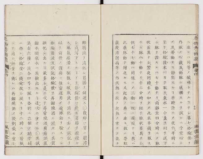 K0008s0128