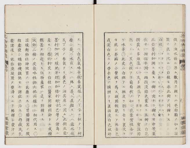 K0008s0131