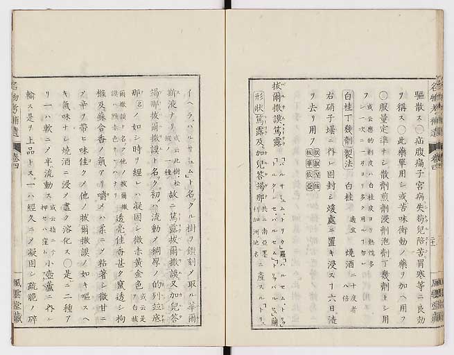 K0008s0132