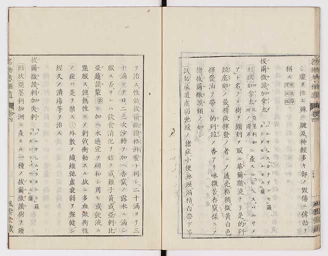 K0008s0134