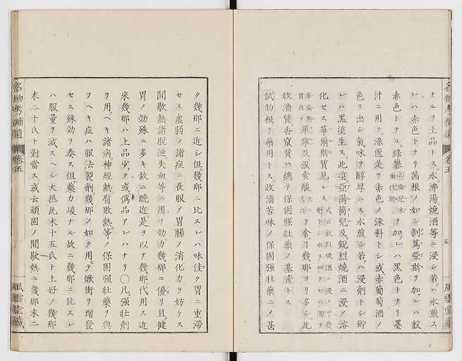 K0008s0146