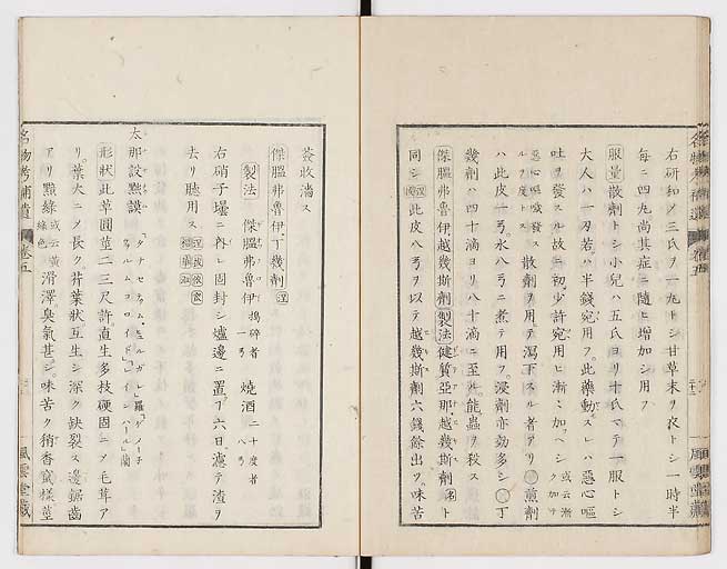 K0008s0163