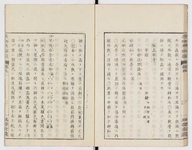 K0008s0165