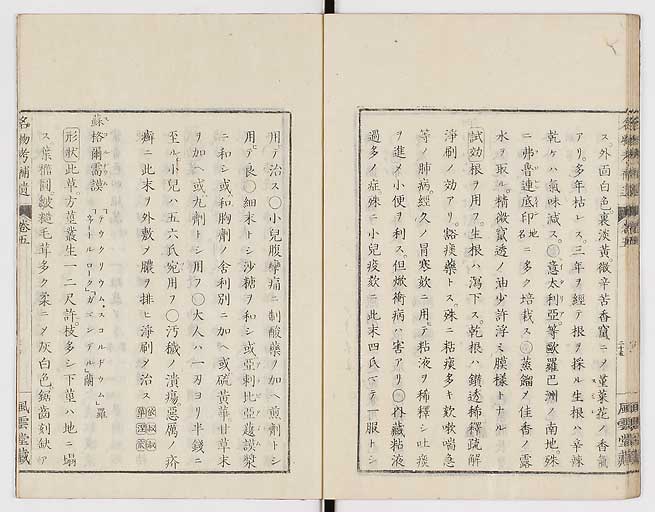 K0008s0166