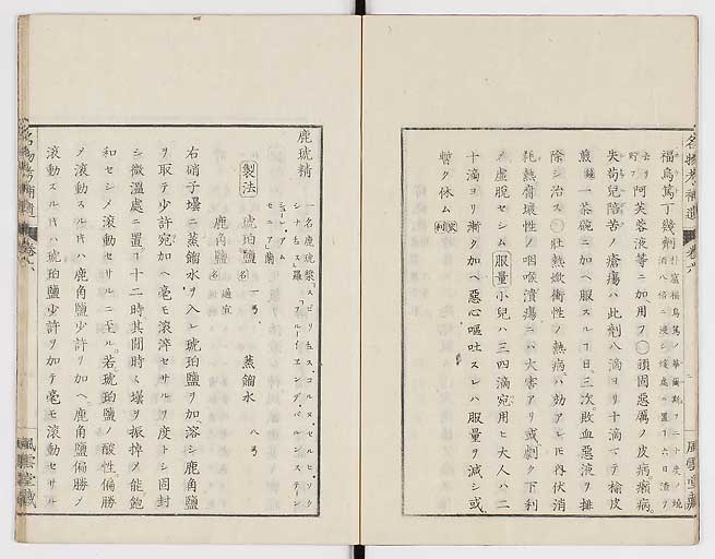 K0008s0175