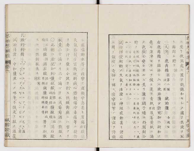 K0008s0176
