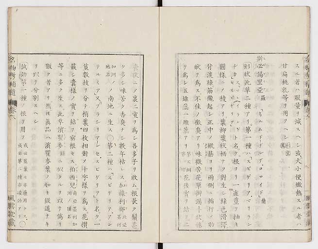 K0008s0181