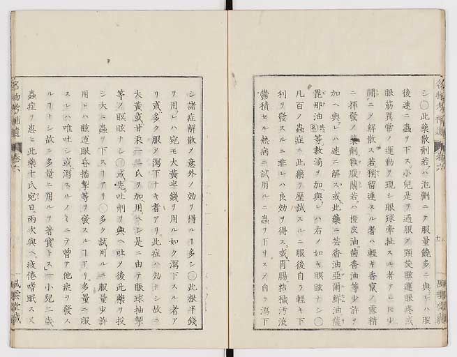 K0008s0184