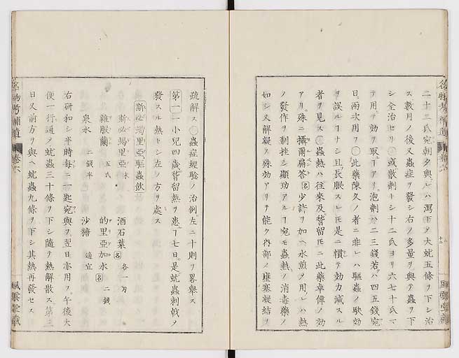 K0008s0185