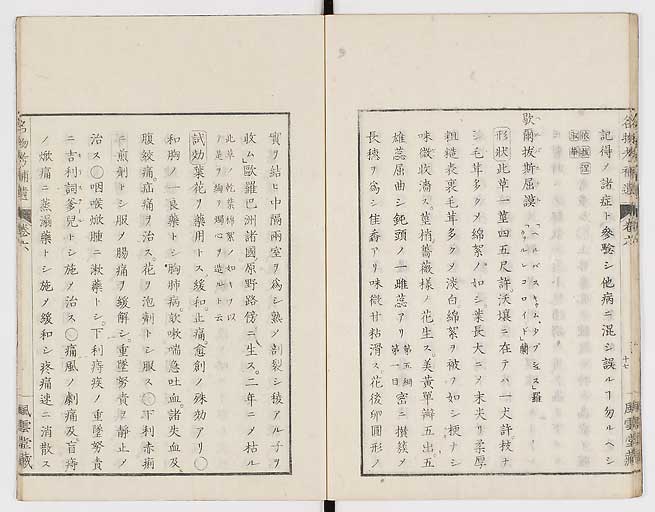 K0008s0190