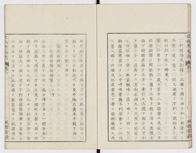 K0008s0191