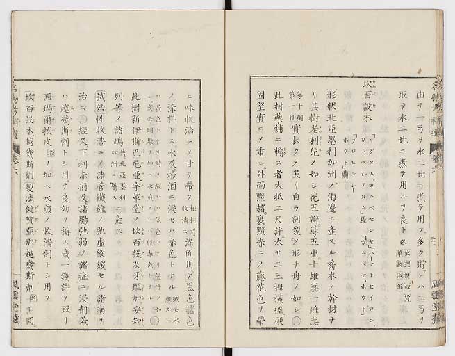 K0008s0194