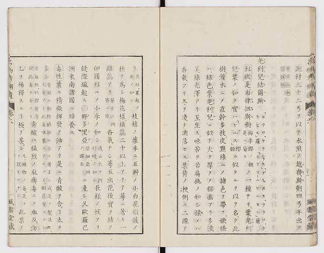 K0008s0195