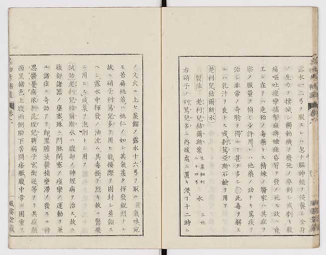K0008s0196