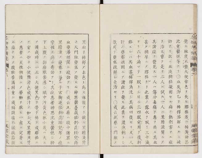 K0008s0197