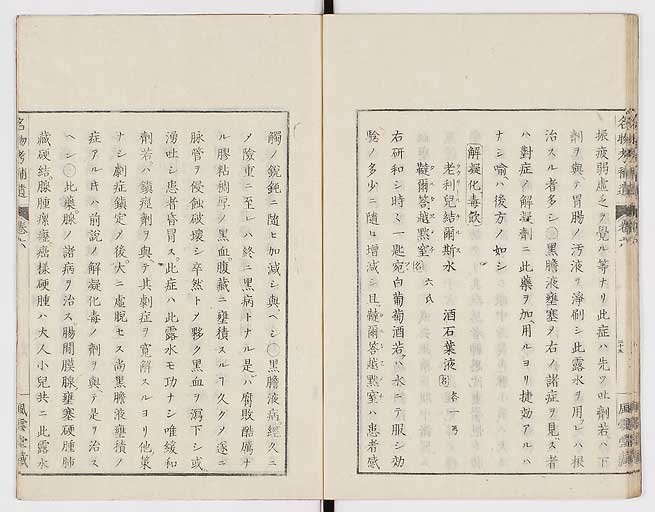 K0008s0198