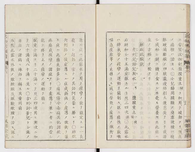 K0008s0199