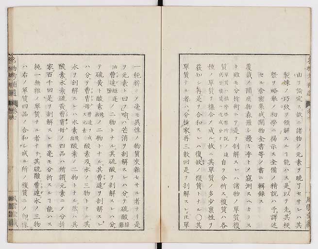 K0008s0205