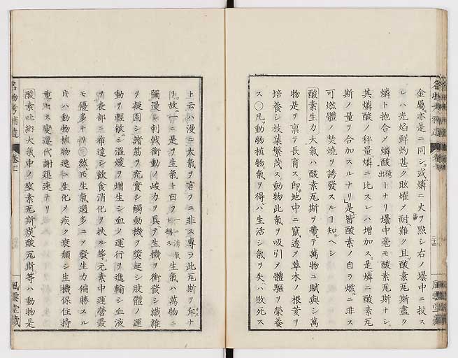 K0008s0228
