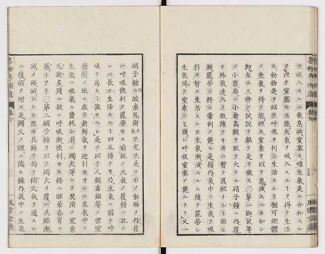 K0008s0229