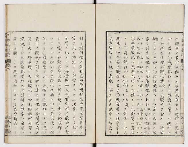 K0008s0238