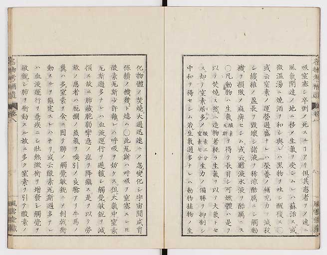 K0008s0243