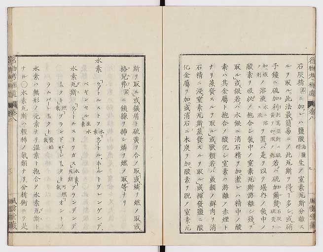 K0008s0246