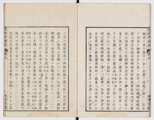 K0008s0284