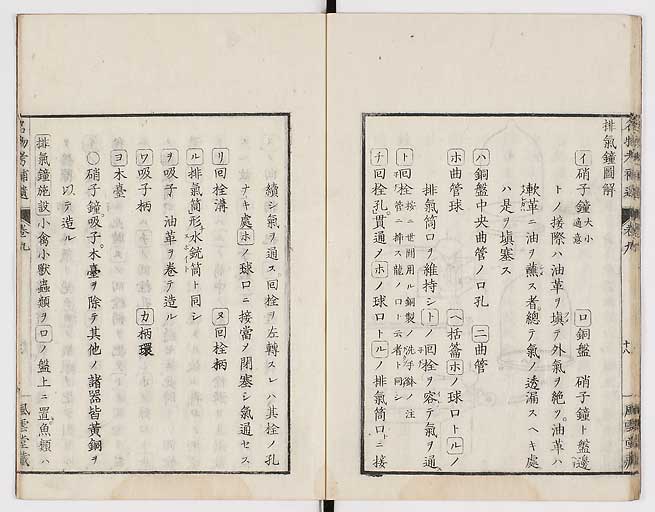 K0008s0291