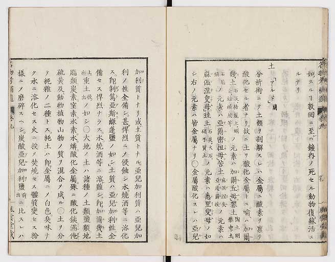 K0008s0293