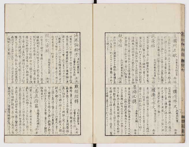 K0008s0300