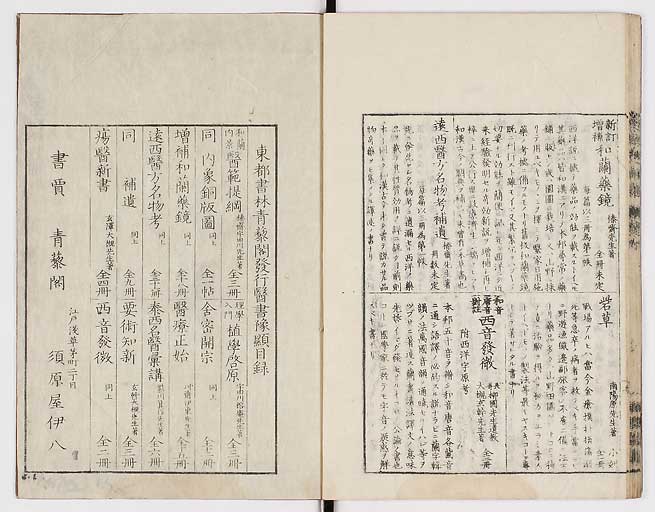 K0008s0302