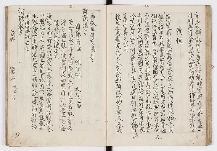 K0009s0036