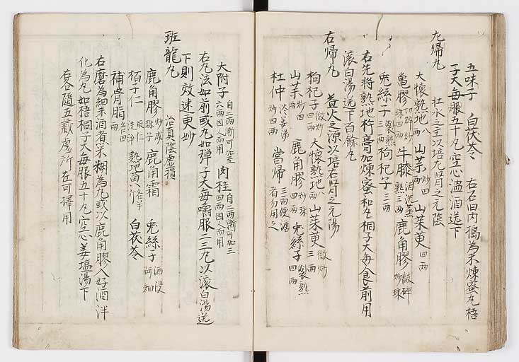 K0009s0043