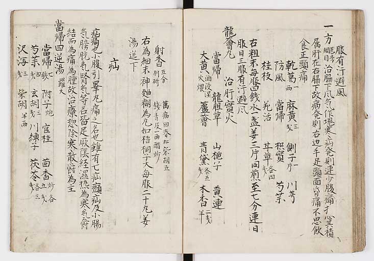 K0009s0046