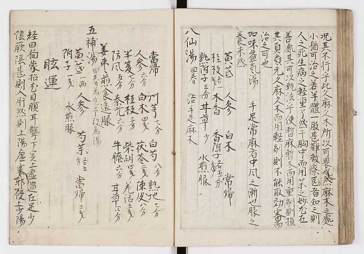 K0009s0060