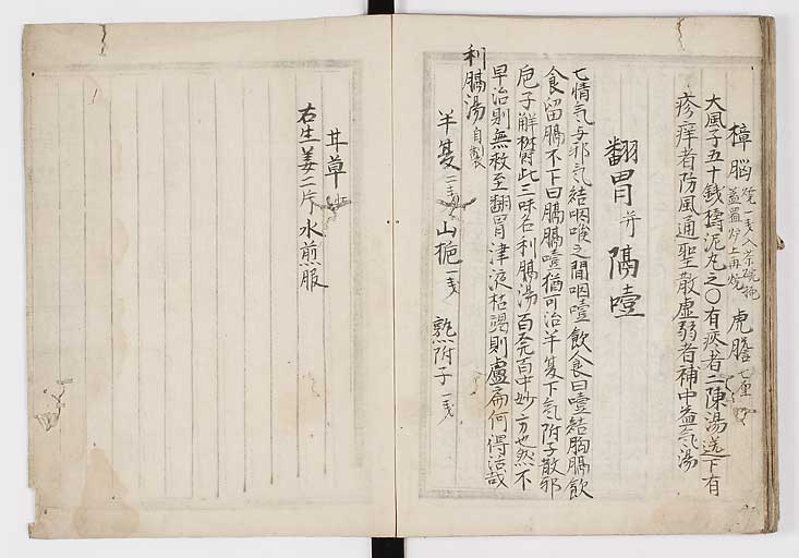 K0009s0065