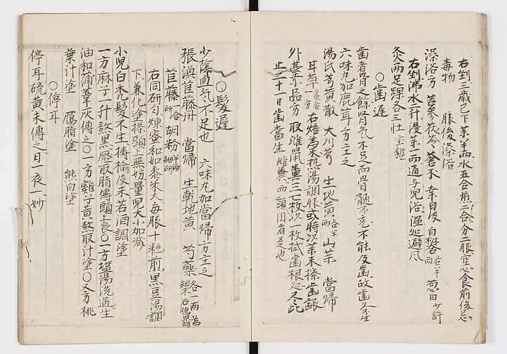 K0009s0091