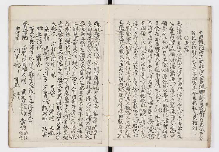 K0009s0095