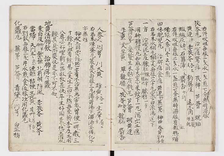 K0009s0096