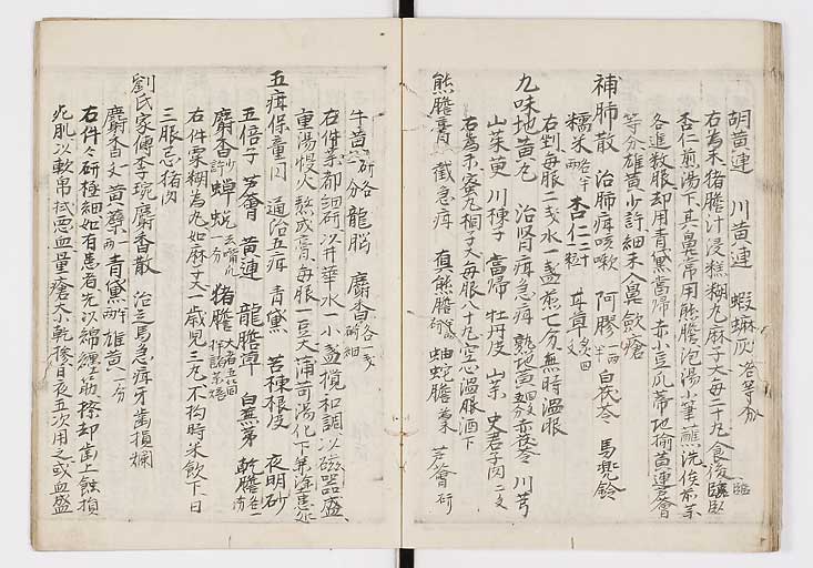 K0009s0097